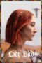 Nonton Film Lady Bird (2017)